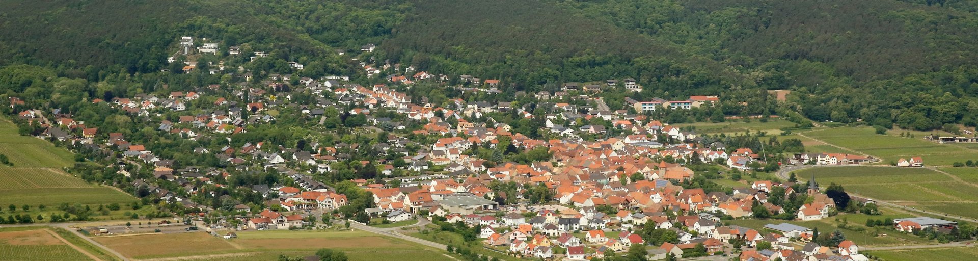 Weisenheim Am Berg Verbandsgemeinde Freinsheim 6472